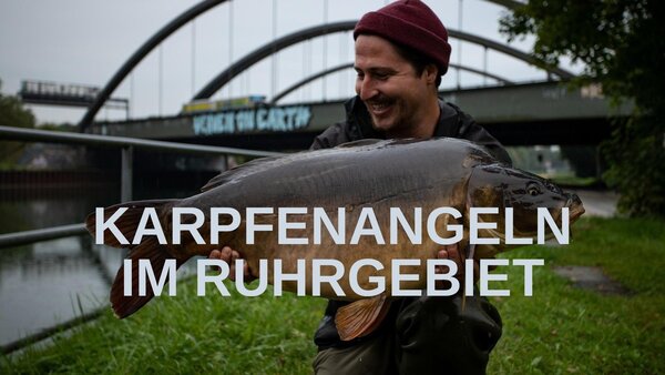 Karpfenangeln im Ruhrgebiet