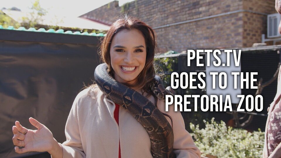 Pets.TV Goes to the Pretoria Zoo