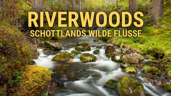Riverwoods - Schottlands wilde Flüsse