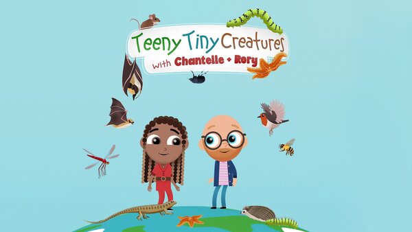 Teeny Tiny Creatures