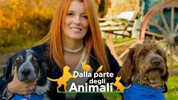 Dalla parte degli animali