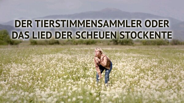 Der Tierstimmensammler oder Das Lied der Scheuen Stockente