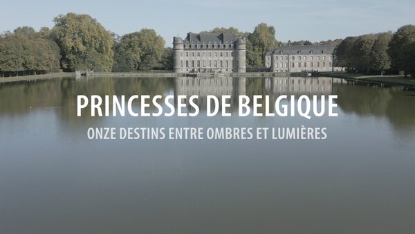 Pincesses de Belgique. Onze destins entre ombres et lumières