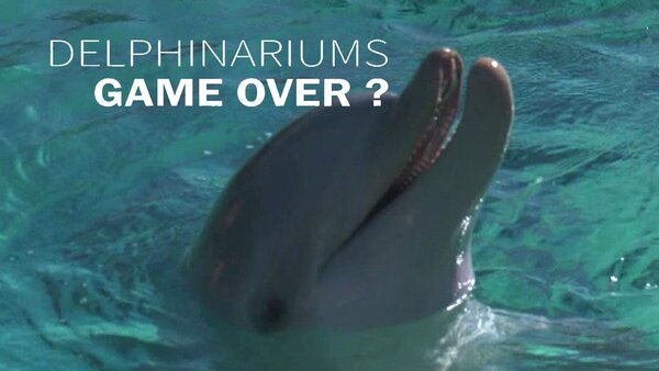 Delphinariums : game over ?