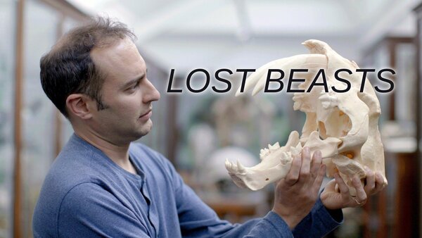 Lost Beasts