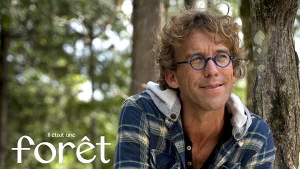 Il était une forêt