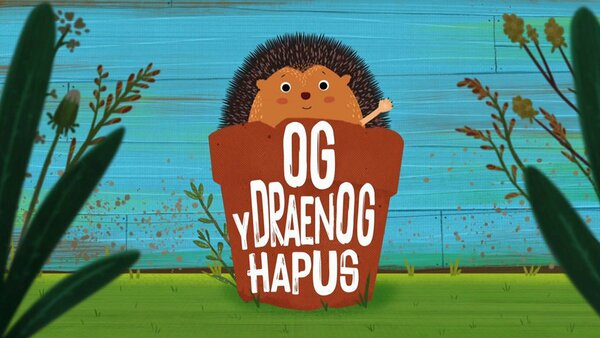 Og y Draenog Hapus