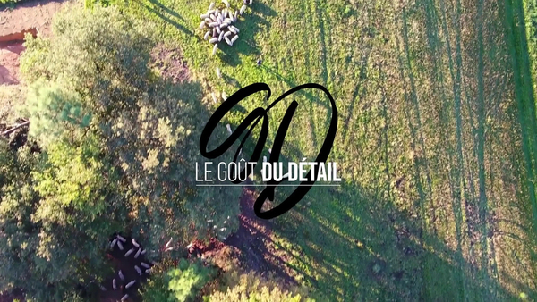 Le goût du détail