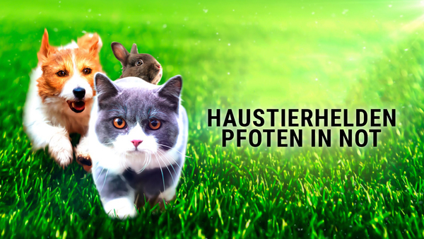 Haustierhelden - Pfoten in Not
