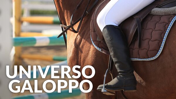 Live: Universo galoppo