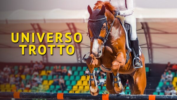 Live: Universo trotto