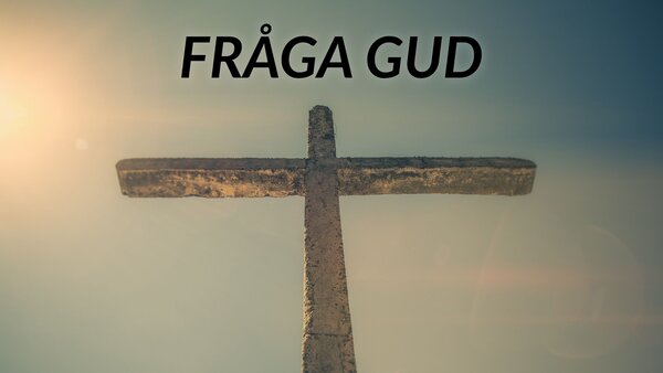 Fråga Gud