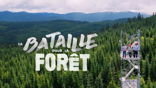 La bataille pour la forêt