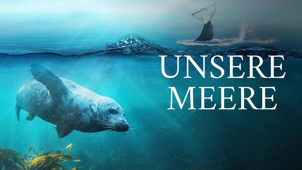 Unsere Meere