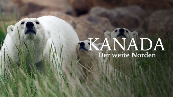 Kanada - Der weite Norden