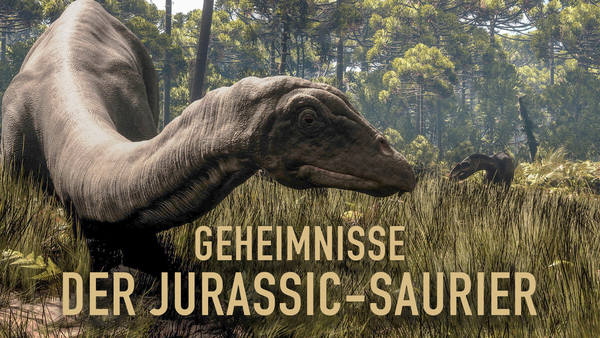 Geheimnisse der Jurassic-Saurier