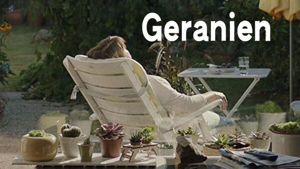 Geranien