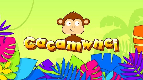 Cacamwnci