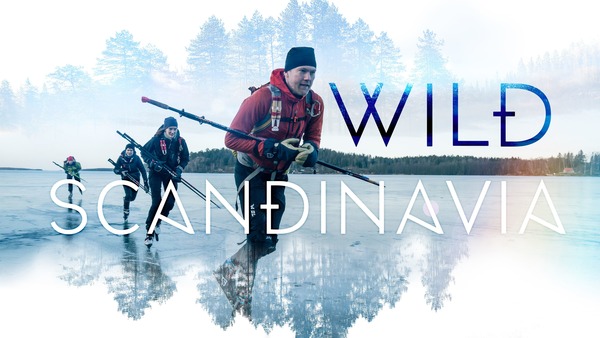 Wild Scandinavia
