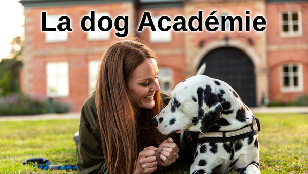 La dog Académie