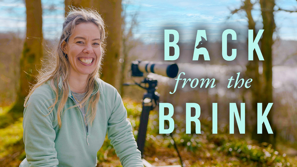 Back from the Brink