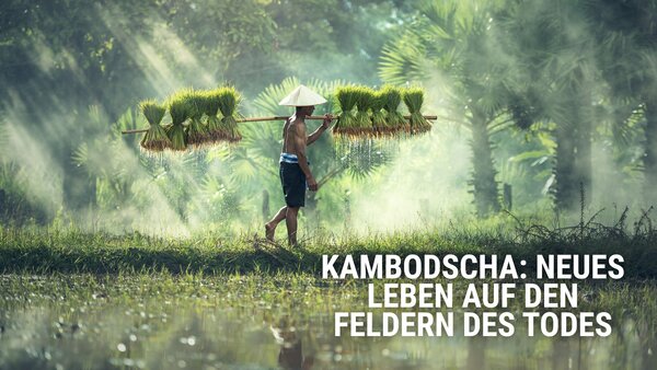 Kambodscha: Neues Leben auf den Feldern des Todes
