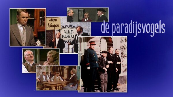 De Paradijsvogels