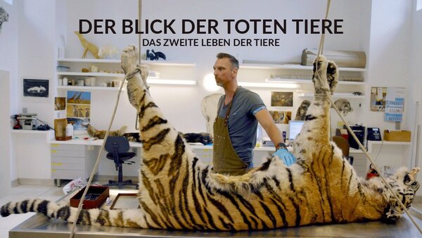 Der Blick der toten Tiere - Das zweite Leben der Tiere