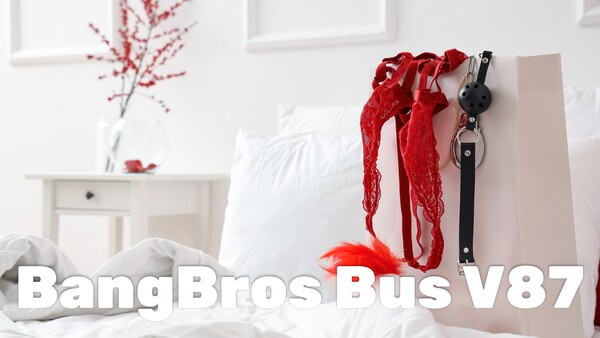 BangBros Bus V87