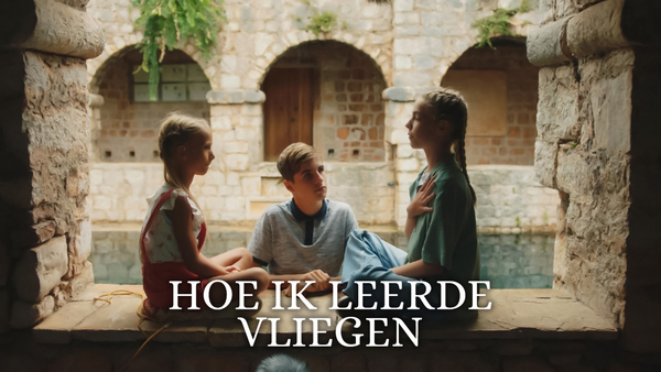 Hoe ik leerde vliegen
