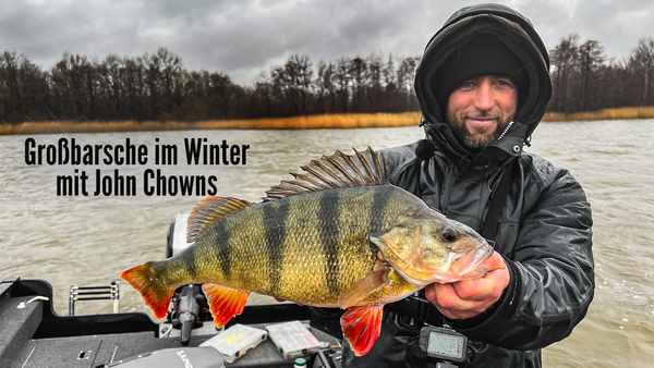 Großbarsche im Winter mit John Chowns