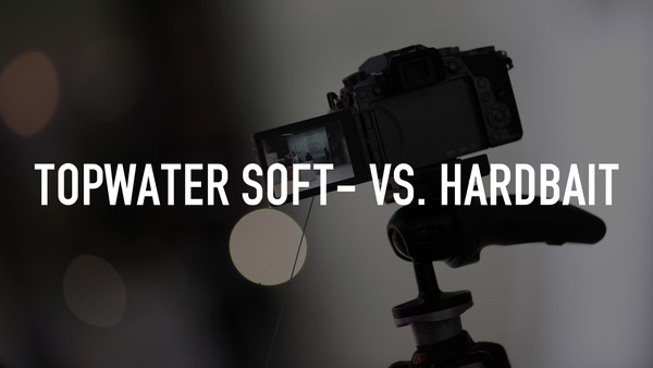 Topwater Soft- vs. Hardbait