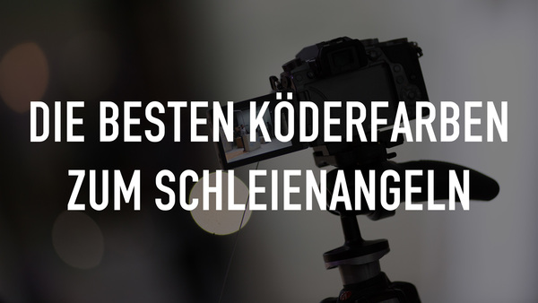Die besten Köderfarben zum Schleienangeln