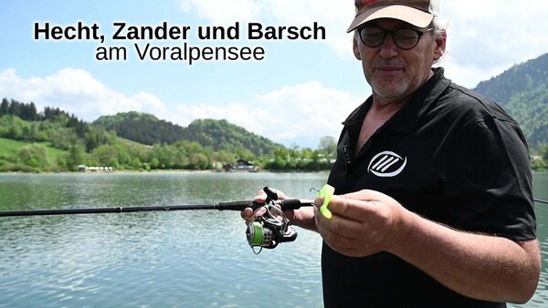 Hecht, Zander und Barsch am Voralpensee