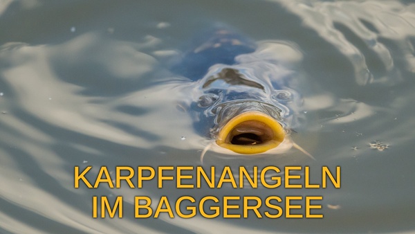 Karpfenangeln im Baggersee