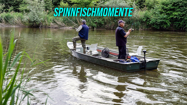 Spinnfischmomente