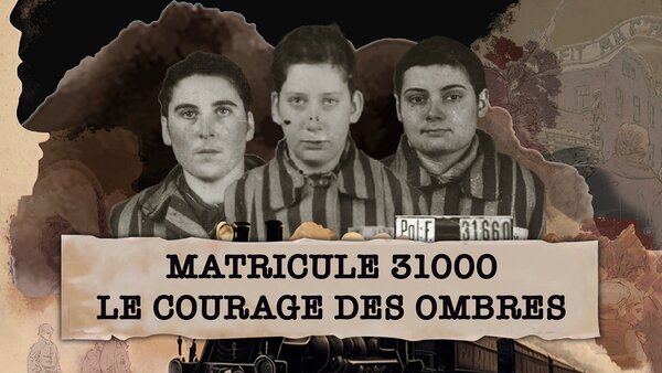 Matricule 31000, le courage des ombres