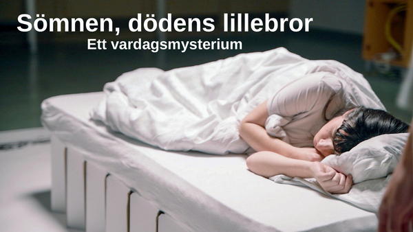 Sömnen, dödens lillebror - Ett vardagsmysterium
