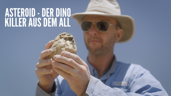 Asteroid - Der Dino-Killer aus dem All