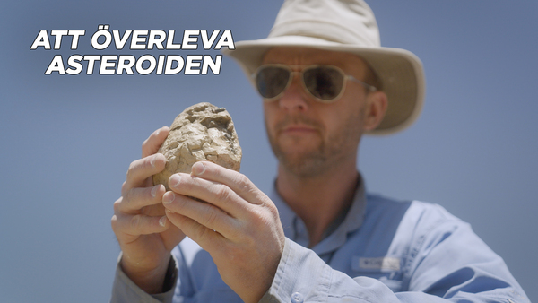 Att överleva asteroiden