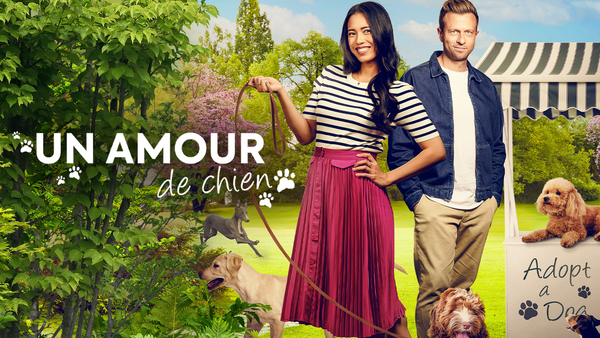 Un amour de chien