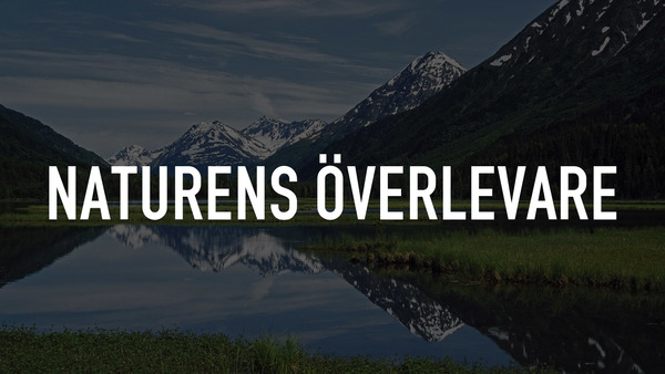 Naturens överlevare