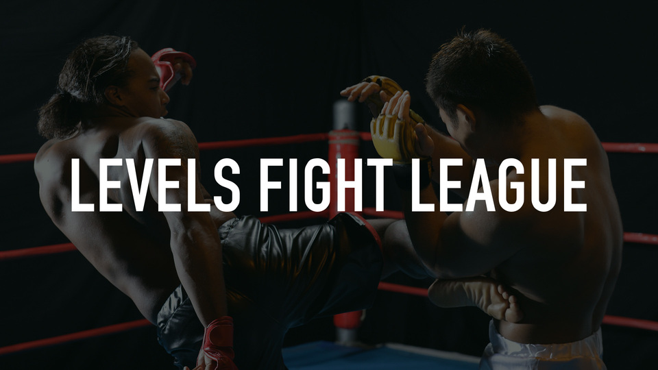 Levels Fight League