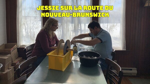 Jessie sur la route du Nouveau-Brunswick