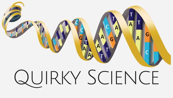 Quirky Science