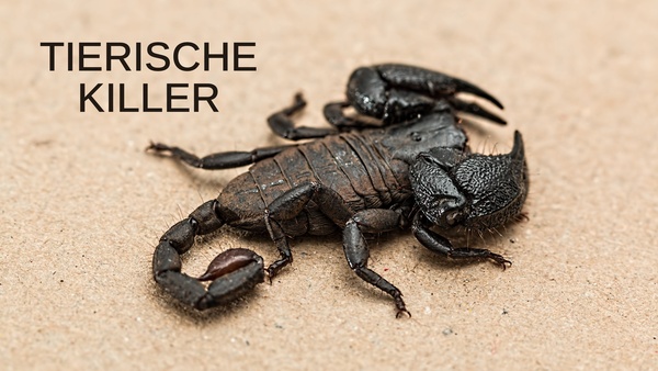 Tierische Killer