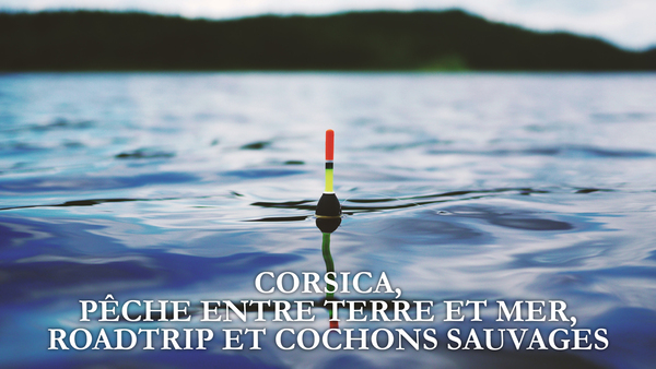 Corsica, pêche entre terre et mer, roadtrip et cochons sauvages