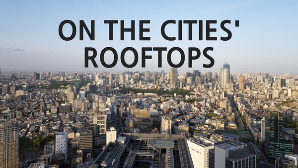On the Cities' Rooftops