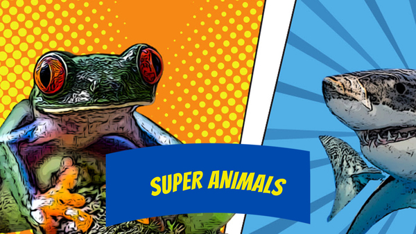 Super Animals