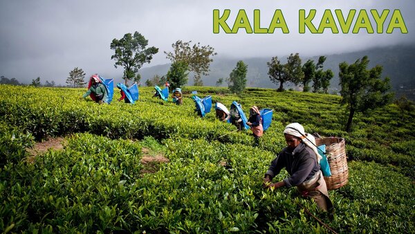 Kala Kavaya